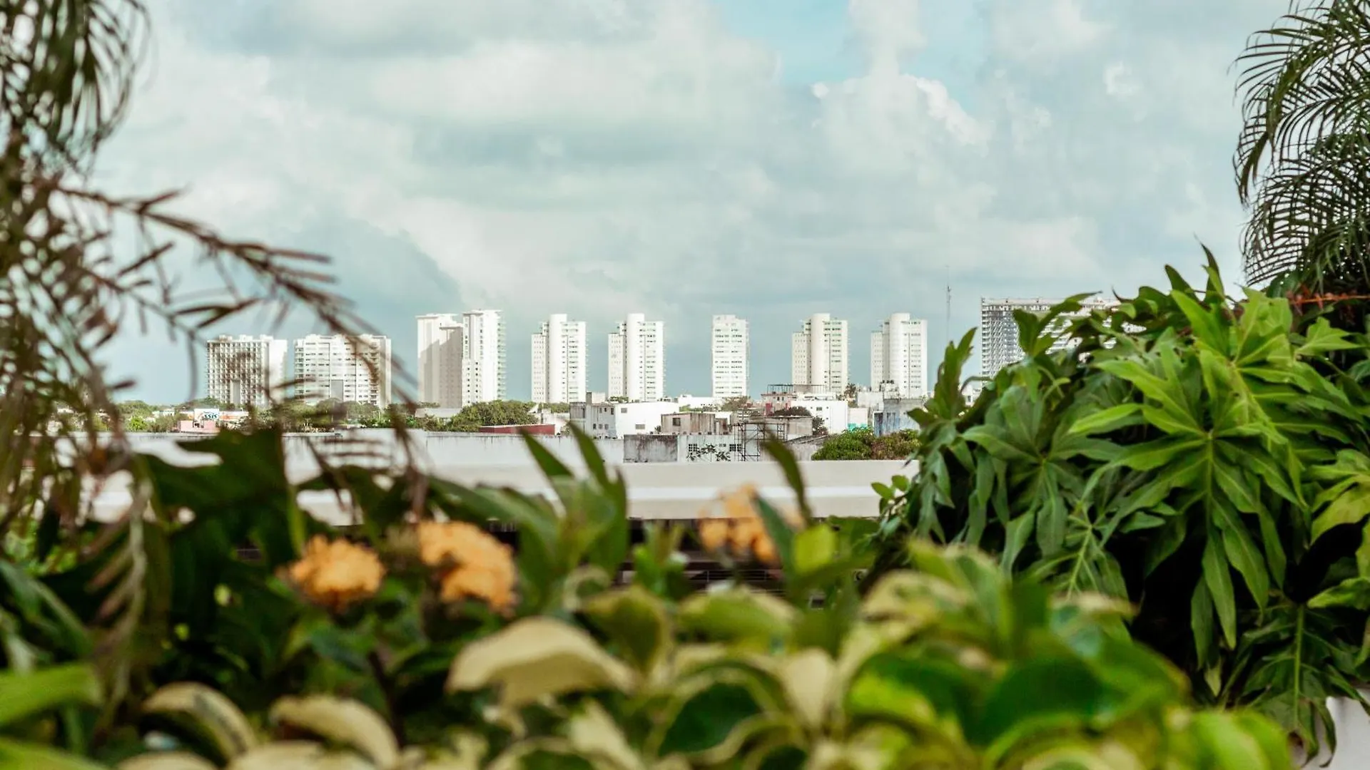 Xoza Hotel Urban Escape Cancún