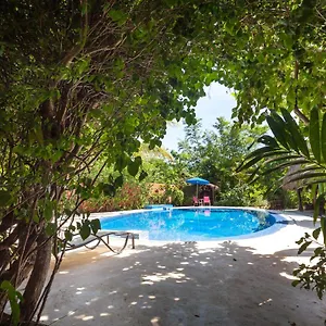 don-diego-de-la-selva-tulum.tulum-hotels.net/