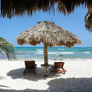 zamas-hotel.tulum-hotels.net/