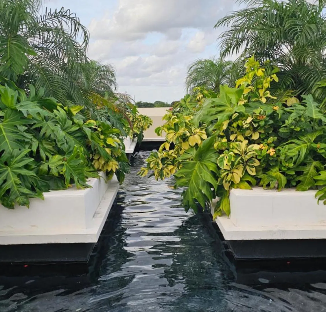 Xoza Hotel Urban Escape Cancun Mexico