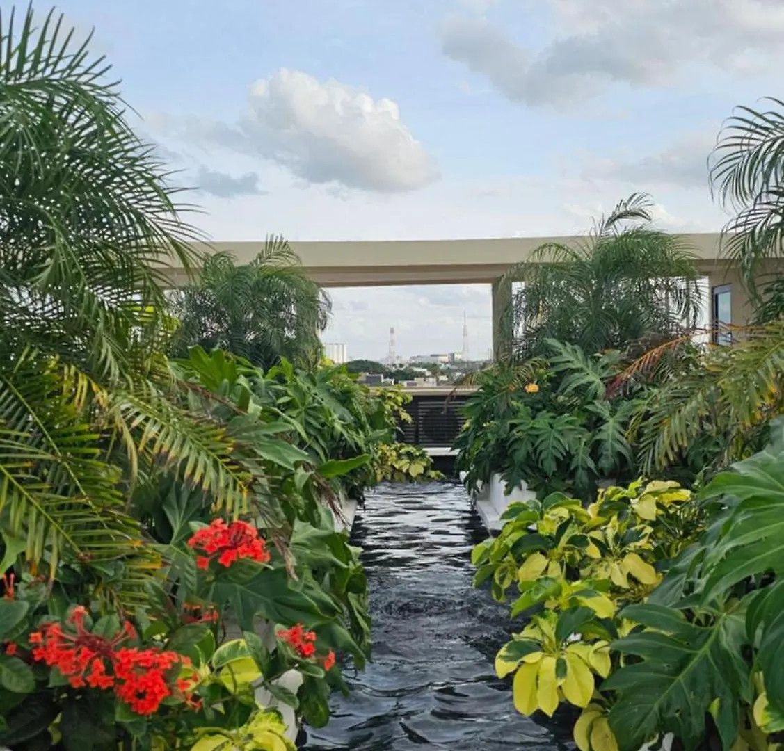 Xoza Hotel Urban Escape Cancun 4*,  Mexico