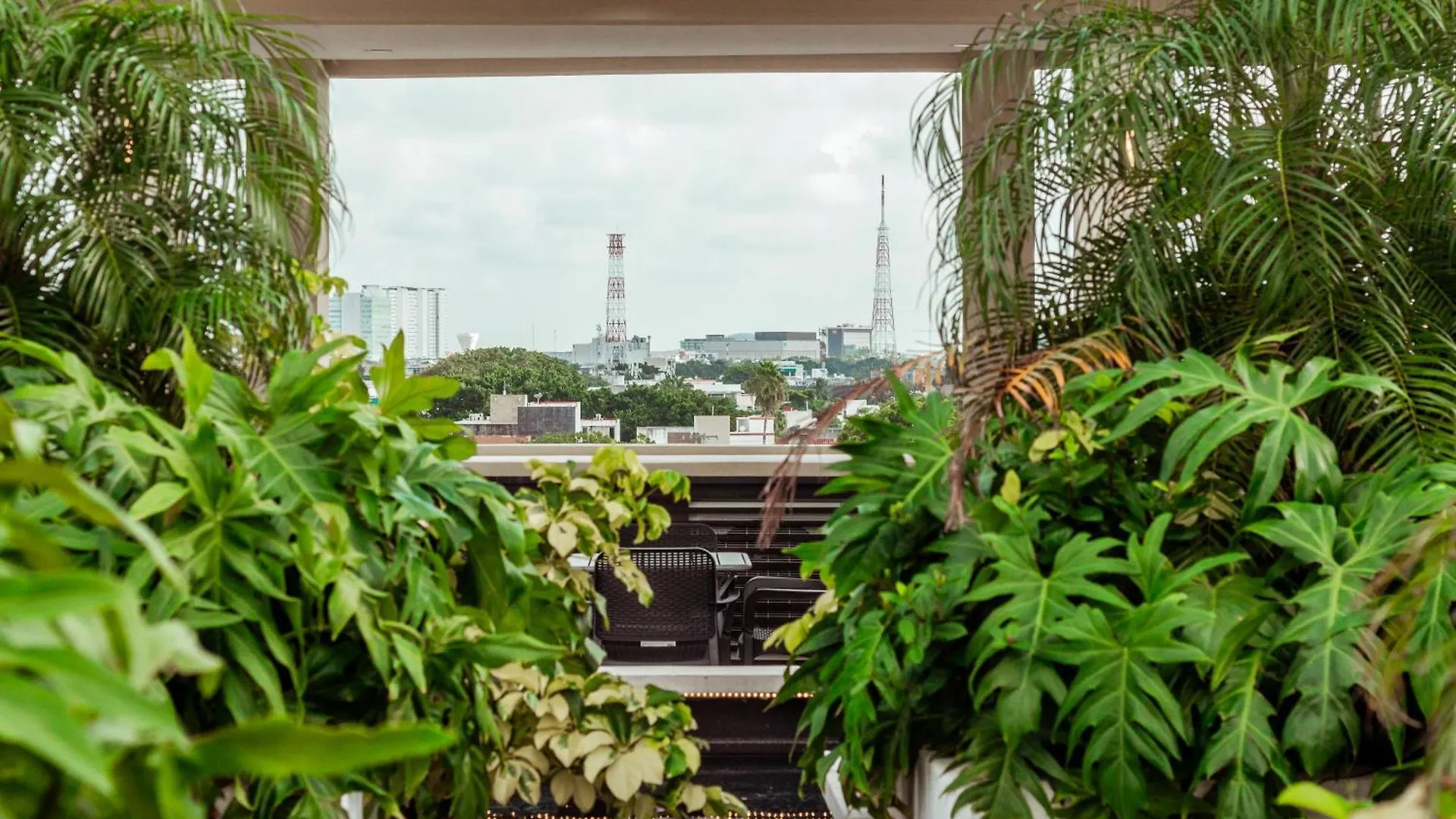 Xoza Hotel Urban Escape Cancun